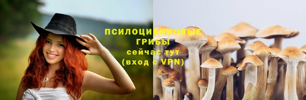 дмт Балабаново
