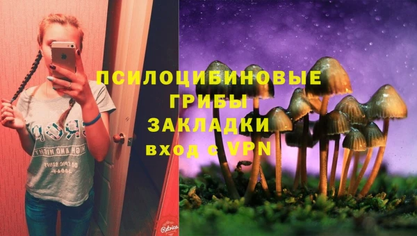 spice Баксан